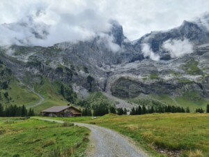 Viaberna etappe 16 weg