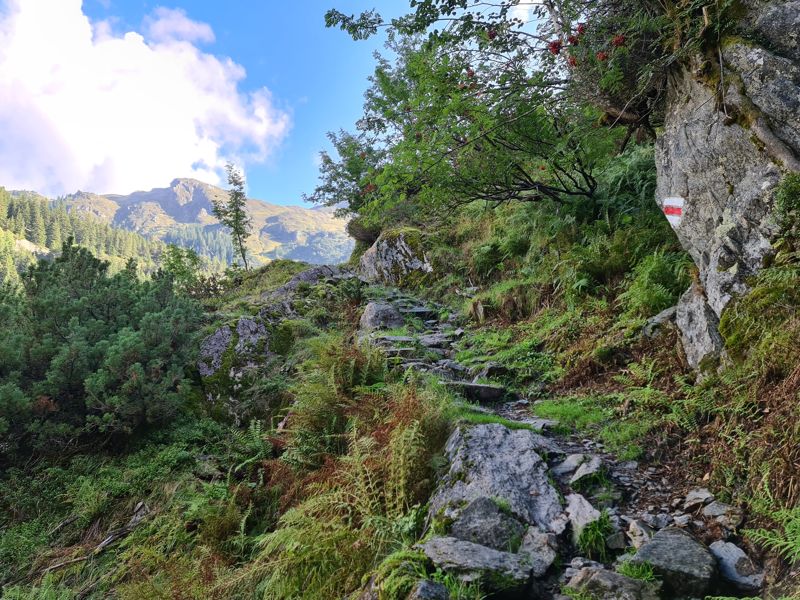 Voetpad op de ViaBerna