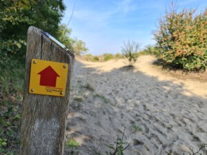 Wandelen op Voornes Duin