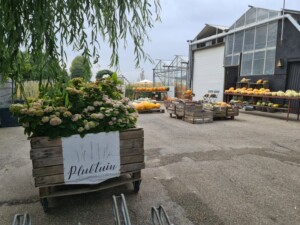 Pluktuin Oostvoorne