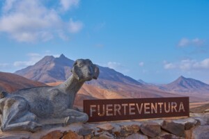 wandelgids Fuerteventura