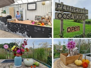 Pluktuin Oostvoorne