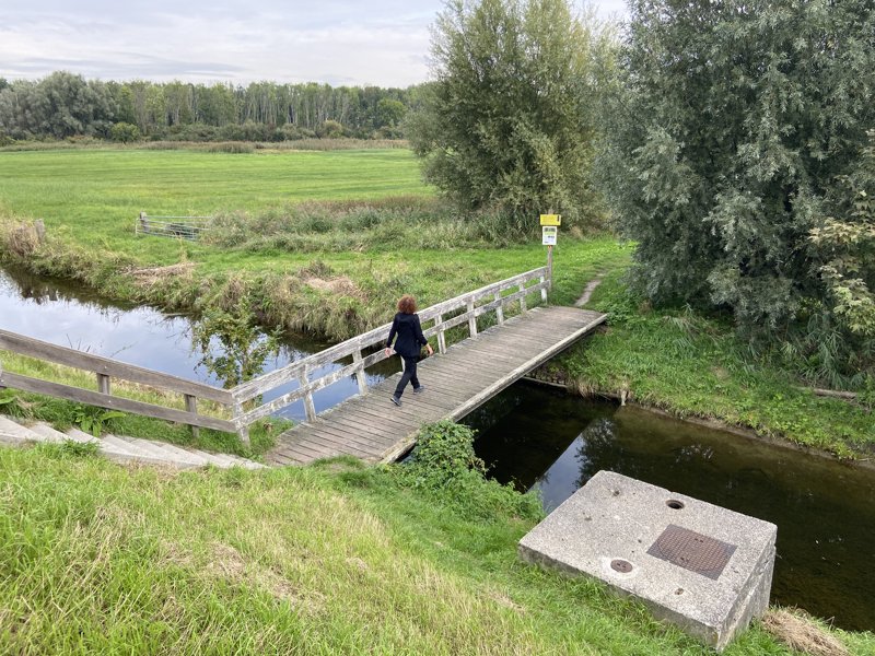 Wandelen op Voorne-Putten - Annabos