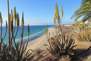 wandelen Fuerteventura