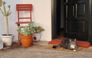 Villa Vital Fuerteventura