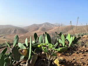 Centrale massief Fuerteventura