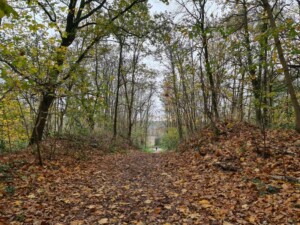 wandelen Venlo Jaomerdal