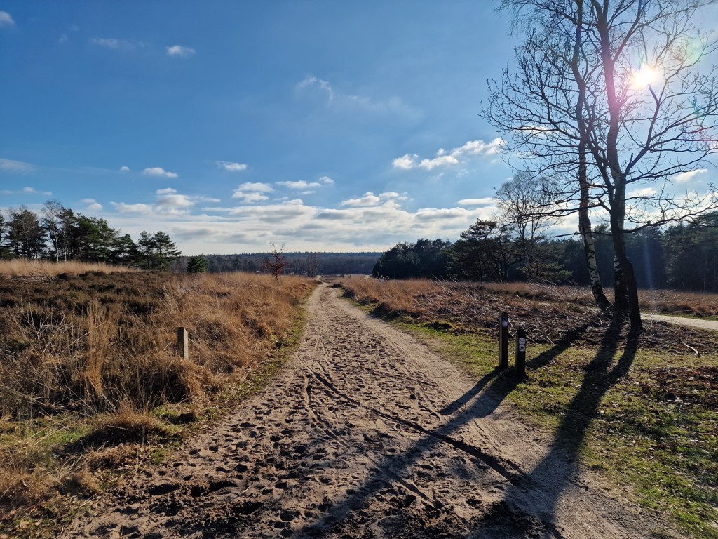 De heide van Schenkelshul.