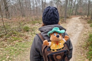 5 x wandelen vanuit Landal Miggelenberg – over de mooie Veluwe