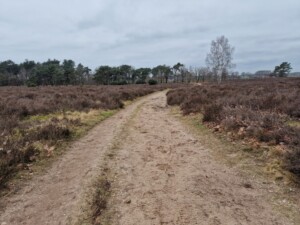 wandelen over Landgoedroute de Sprengerberg