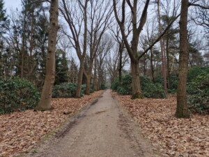 wandelen over Landgoedroute de Sprengerberg