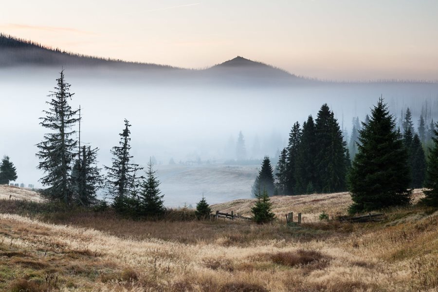 het veenmoeras van Černá Hora - Wandelen in het Reuzengebergte