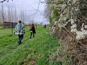 Bloesemroute wandelen in provinciedomein Het Vinne