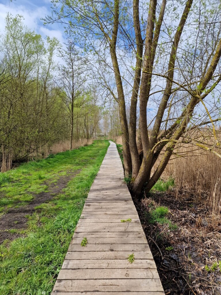 Provinciedomein Het Vinne - knuppelpad