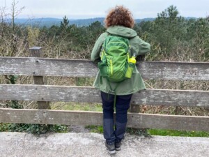 Uitkijken op het uitkijkpunt in de Schoorlse Duinen