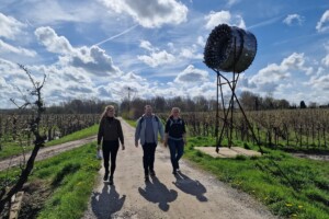 Bloesemroute wandelen in Vlaams-Brabant
