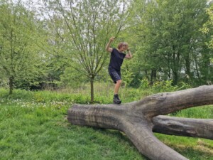 RVRC GP Pro Zip-off Pants