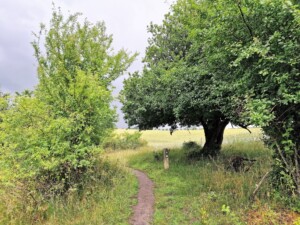 wandelpad Panorama route