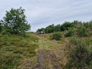 Wandelen over de Himmerlandske Heder (Himmerlandse heide)
