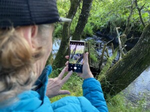 Een verlaten dam van bevers