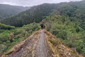 Blog: de Lee Trail Luxemburg in 10 vragen