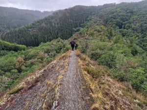 Lee Trail - over de bergkam