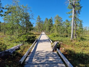 Houten wandelpaden in Fulufjället Nationaal Park