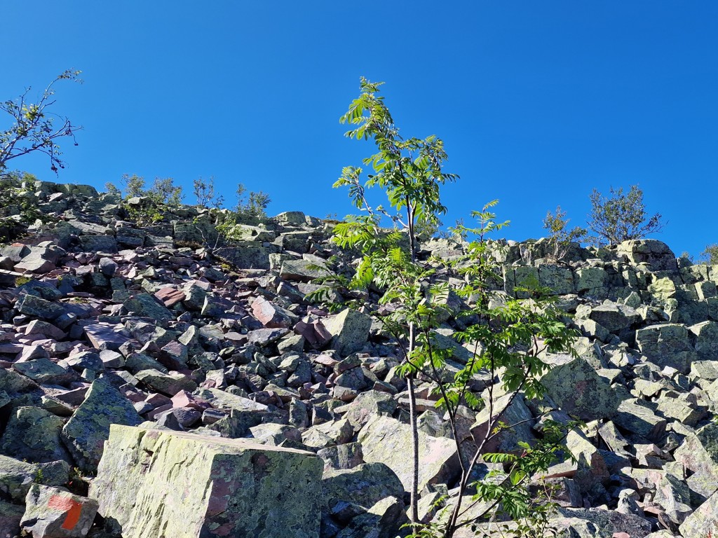 Nationaal park Fulufjället - lastig wandelpad