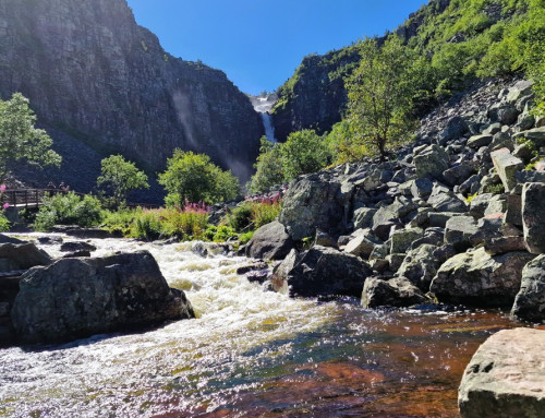 Wandelen in Fulufjället Nationaal Park langs de hoogste waterval en de oudste boom