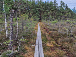 Wandelen in Småland - Store Mosse Nationaal Park