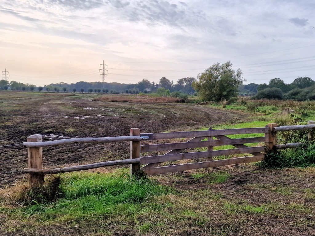 Natuurreservaat De Turfkoelen