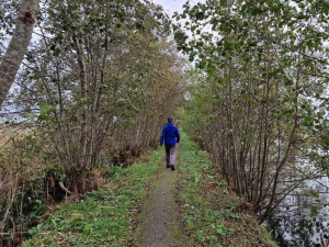 Wandelen vanaf Landal De Reeuwijkse Plassen