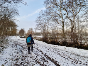 wandelen over natte paden op het Etappe 8 van het Noardlike Fryske Wâlden Pad