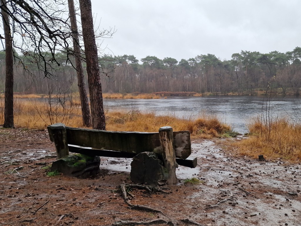 wandelbankje bij ven in Oisterwijkse Bossen en Vennen