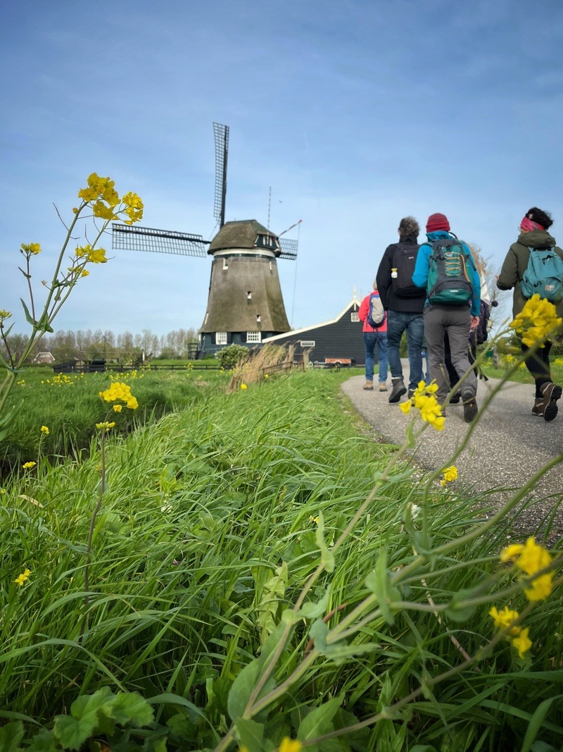 Op weg naar de molen op het Noord-Hollandpad