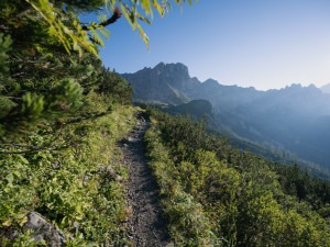 De mooiste etappe van de Salzburger Almenweg