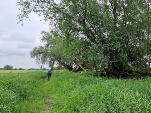 Amerongse Bovenpolder