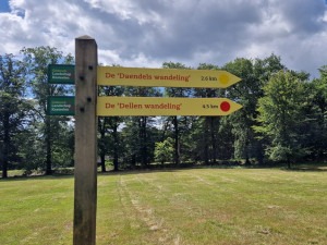 De Dellen - wandelen rond Epe