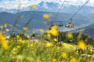 kabelbanen - gele bloemen - wandelen in Flachau