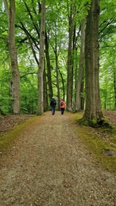 boswandeling met 2 wandelaars