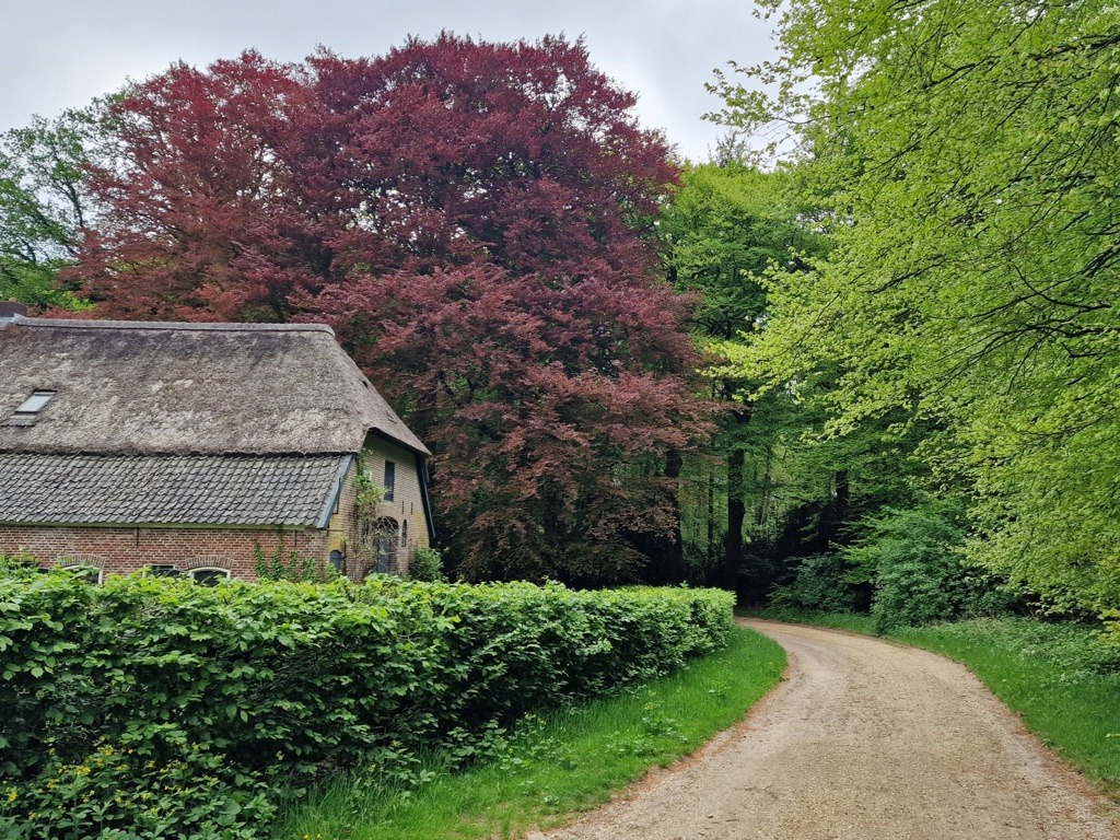 Knopenrondje Staverden - boerderij met bomen