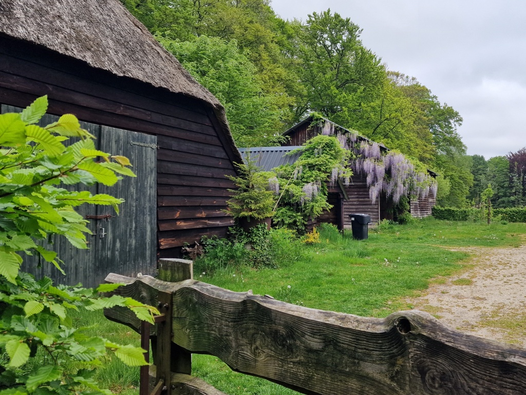 Knopenrondje Staverden