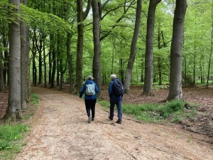 Knopenrondje Staverden zandpad