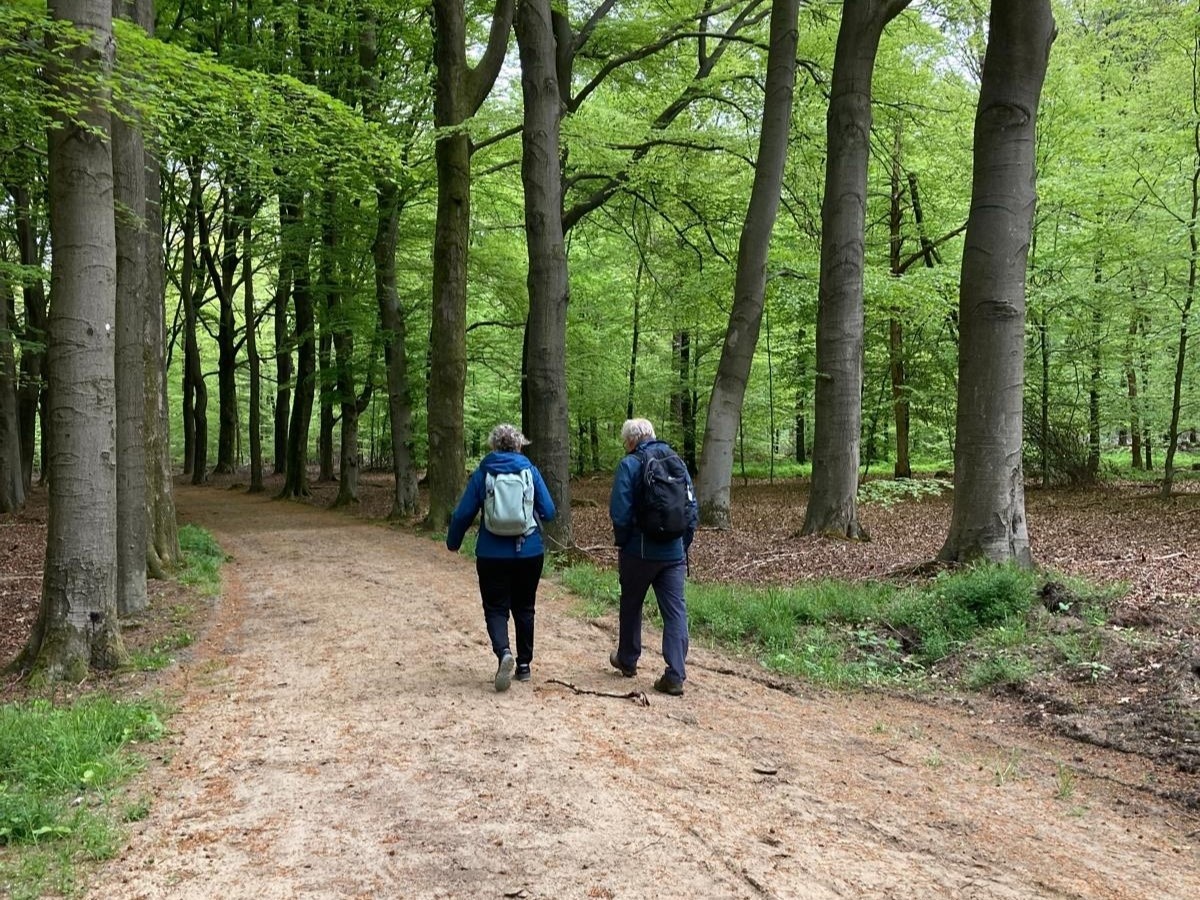 Knopenrondje Staverden zandpad