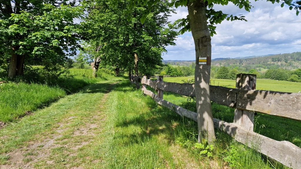 De Hřebenovka wandelpad door weilanden Tjecie