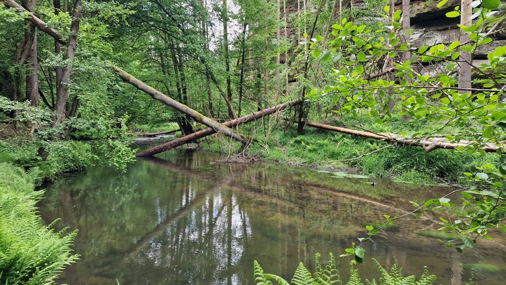 kloof bij Dolský mlýn