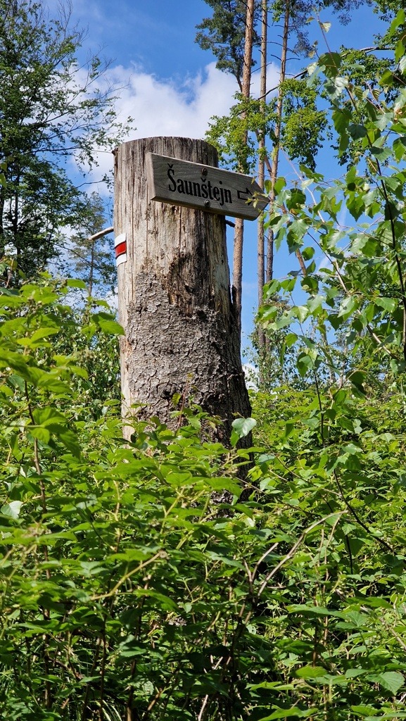 Het rotskasteel Šaunštejn