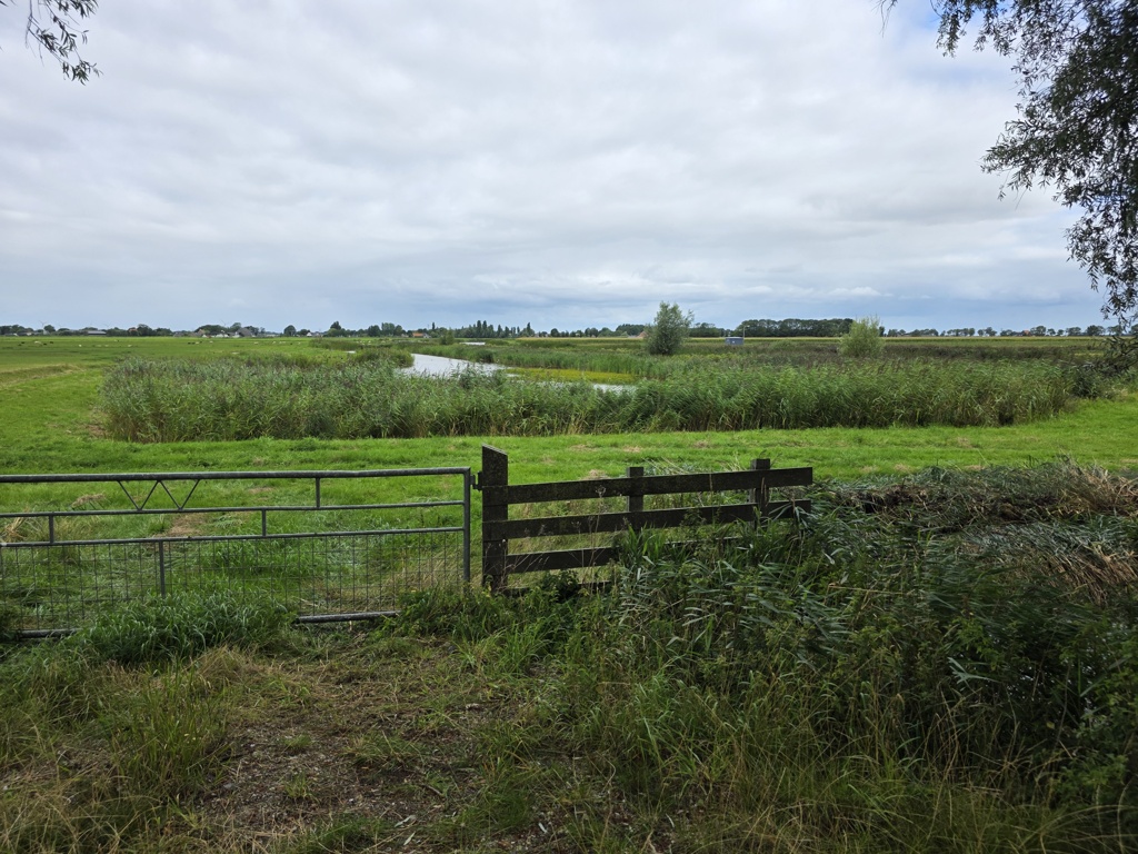 Fries landschal langs het Jabikspaad