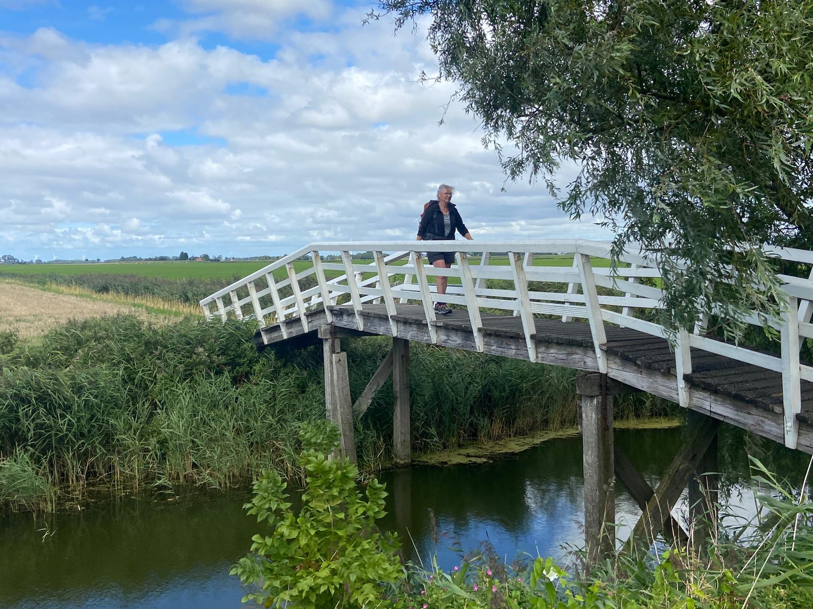 wandelen over een brug - Jabikspaad