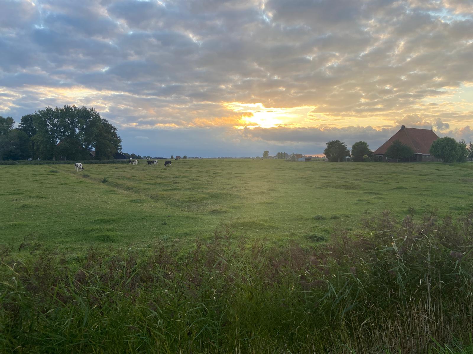 ondergaande zon in Friesland